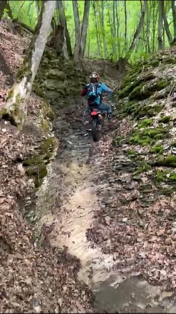 2025_05_02_19_20_IMG_0505 смотреть онлайн