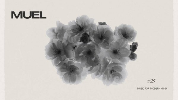 MUEL #25: Happy Humpday Mix | Midweek Energy & Productivity Booster