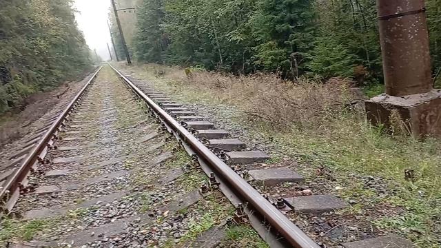 александр в видео смотреть онлайн