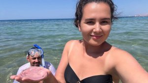 Влог Нападение Медуз в Египте | Старый Город в Шарм Park Regency Sharm El Sheikh Resort