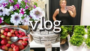 ВЛОГ/Шоппинг/Готовимся к отъезду /Варю Варенье из ранеток /Син/Глория #влог #шоппинг #семья