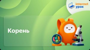 Биология 6 класс. Корень