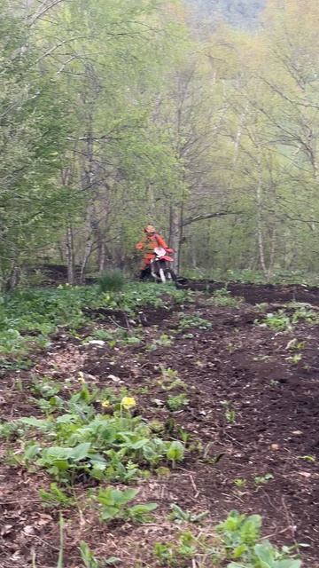 2025_05_02_17_20_IMG_0467 смотреть онлайн