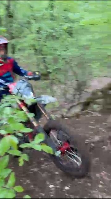 2025_05_01_21_06_IMG_0418 смотреть онлайн