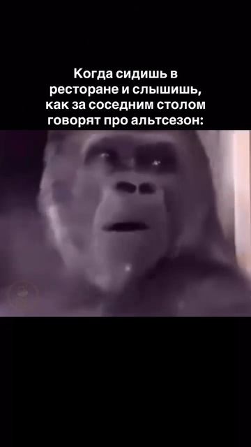 Когда слышишь слово “альтсезон” 👀