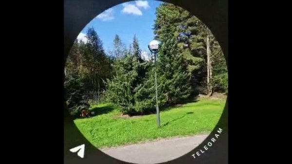 Поездка в Лугу https://t.me/BHEDOMA