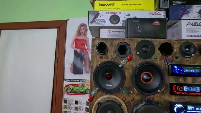 Recoil Red Storm RM65-4P Среднечастотный эстрадный динамик