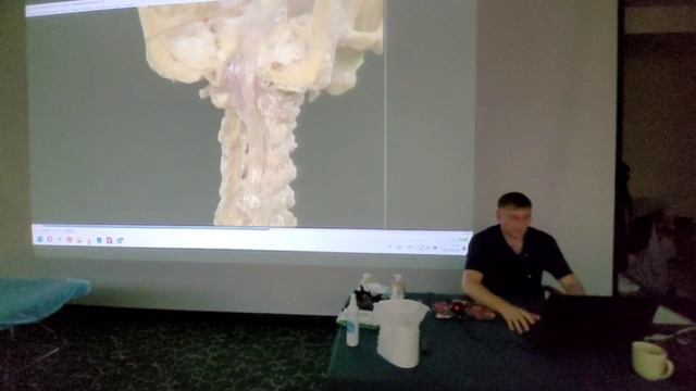 Семинар в г.Пятигорск - 2/3 ступень, сентябрь 2025 (часть 10) - о важности подвижности позвоночника смотреть онлайн