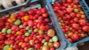 Закончили отопление, подвели воду, навела порядки на кухне