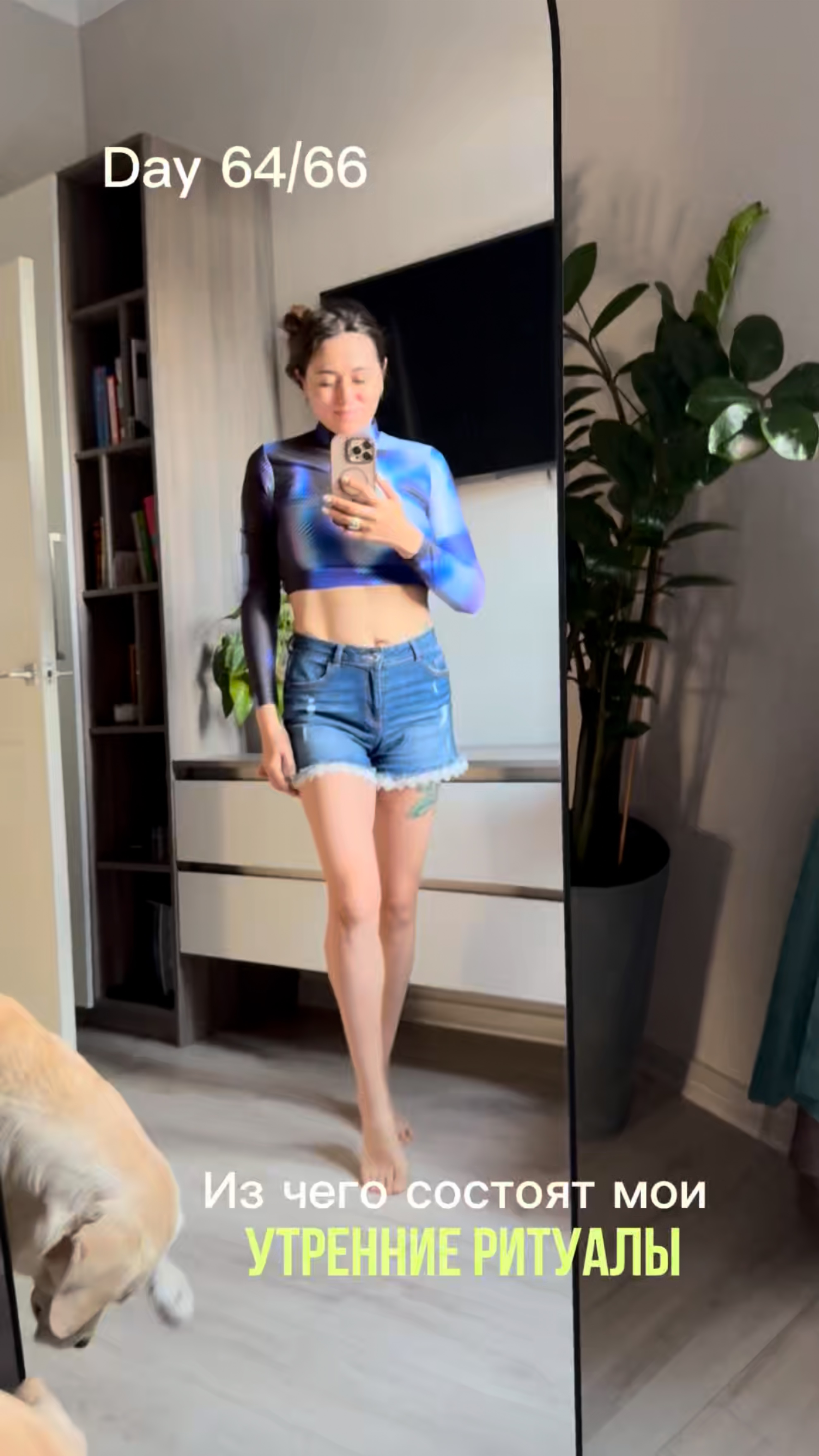 День 64/66: Из чего состоят мои утренние ритуалы (и почему они работают)! 🌅