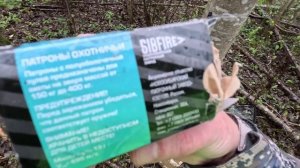 Загонная охота в Псковской области. Результативная!