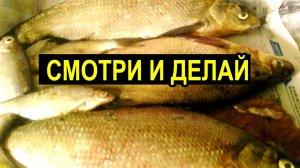 ДОННЫЙ МОНТАЖ ДЛЯ ЛОВЛИ ЛЕЩЕЙ Оснастка донной снасти #дмитрийбуторов