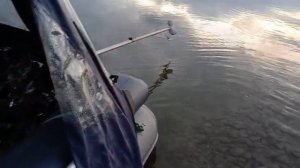 Отзыв о мотовесле LTB EASY K.1 с двигателем Loncin LC196FD (21 лс) | КАТЕРА СИБИРИ