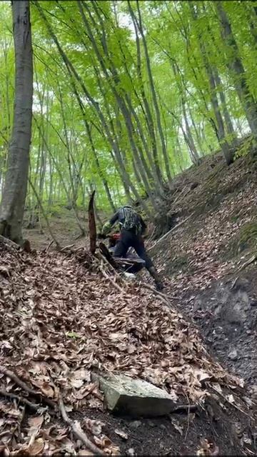 2025_05_02_19_22_IMG_0503 смотреть онлайн