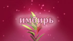 Лечебные свойства имбиря