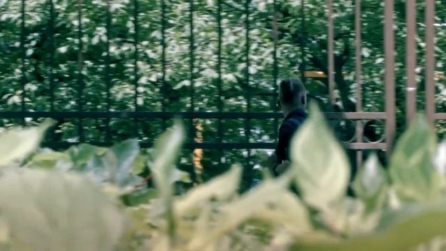 Антитеррор 