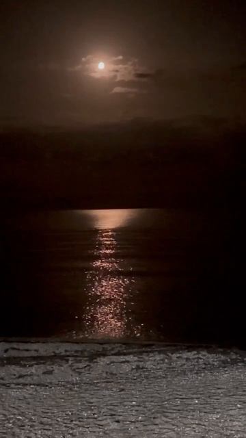 Абхазия, ночь, пляж, море, прибой, лунная дорожка (2-я половина сентября, БАРХАТНЫЙ СЕЗОН-2025) смотреть онлайн