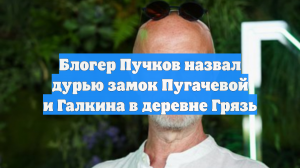 Блогер Пучков назвал дурью замок Пугачевой и Галкина в деревне Грязь