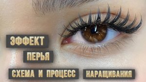 Схема и процесс наращивания эффекта с перьями🪶