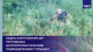 Кадры уничтожения ДРГ противника антитеррористическим подразделением "Горыныч"