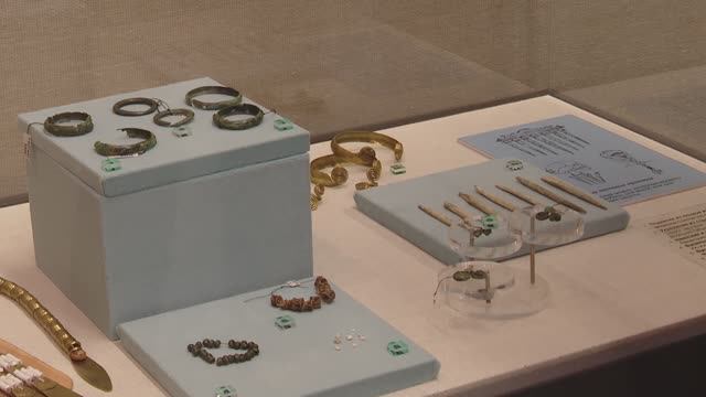 Открытие выставки смотреть онлайн