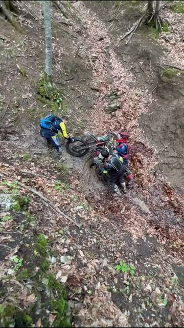 2025_05_02_20_47_IMG_0534 смотреть онлайн