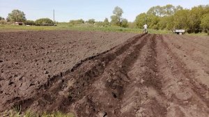 Мотоблок 135. Борозды дисковым окучником.