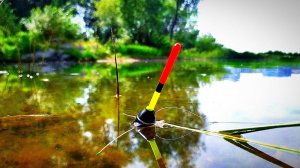 НЕ ДУМАЛ НАЛОВИТЬ ТАКОЕ! Закинул Поплавок За КУВШИНЫ и Вышли ОГРОМНЫЕ КАРАСИ! Рыбалка 2025