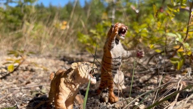 Проект 2025 Мини -фильм 