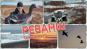 Охота на гусей 2025. Реванш...