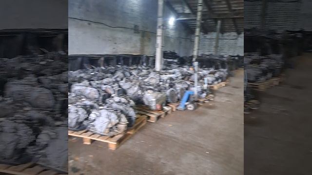 1000302095.mp4 смотреть онлайн