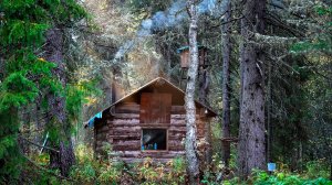 ЖИЗНЬ В ТАЁЖНОЙ ИЗБЕ. ОХОТА. НЕЛЬЗЯ СТРЕЛЯТЬ! СДЕЛАЛ МАНОК И ДОБЫЛ МЯСО.