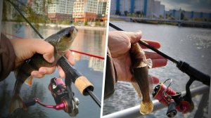 Микроджиг на МР, гуляю по затону