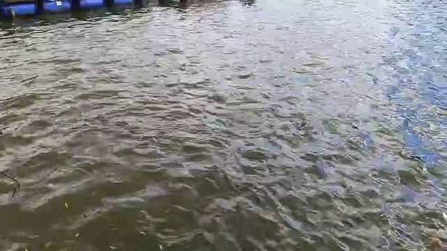 Поимка на блесну смотреть онлайн