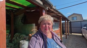 На даче убираем морковь  и освобождаем  теплицу. Наши покупки.