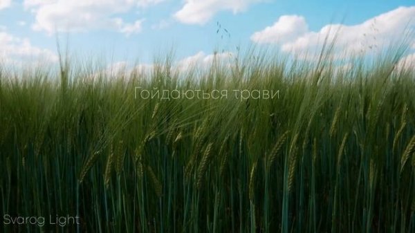 Медитация от Svarog Light - Качающиеся травы (1 час в наслаждении)