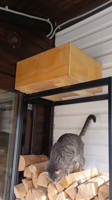 Осень. Планы на следующий сезон