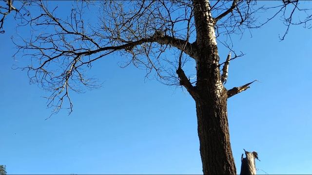 Сила тишины 011 Sila Tishini 011 The Power Of Silence