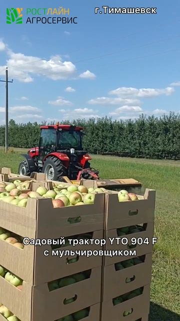 Трактор YTO 904f - садовый необходимка!