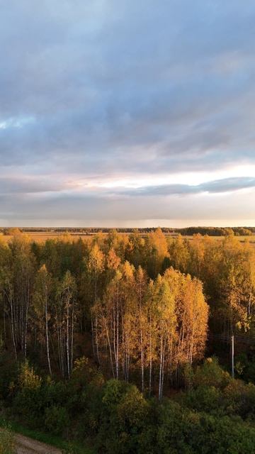 Осень золотая