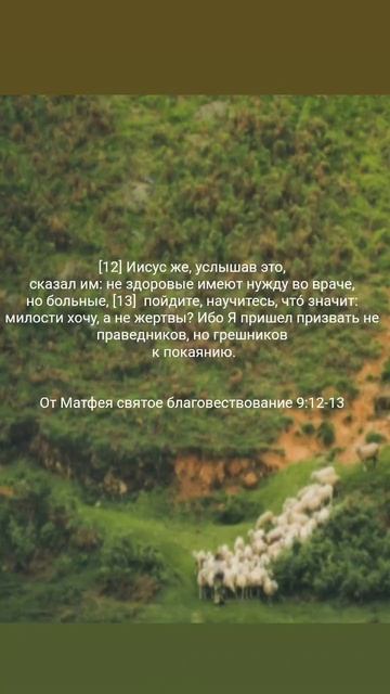 Слово божие на 24.09 #Библия святое Евангелие от Матфея смотреть онлайн