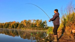 ОСЕННИЙ ЖОР НАЧАЛСЯ! КИЛОГРАММОВЫЕ КАРАСИ НА ДОНКУ.Рыбалка 2025