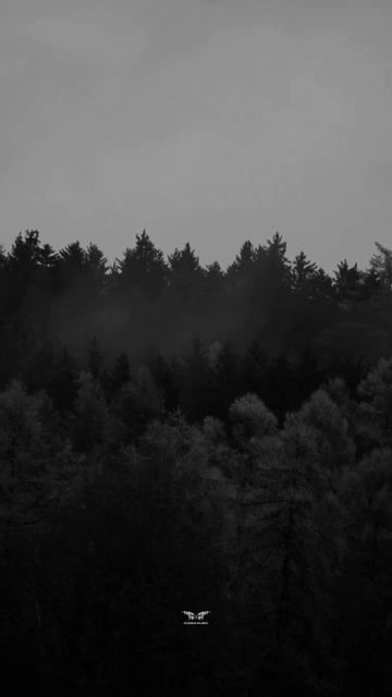 b873788024134775b6b84acb7946e60c смотреть онлайн