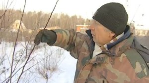 Лотенков и Эндемики