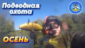 ДЕАФ ПОДВОДНАЯ ОХОТА 23/09/2025