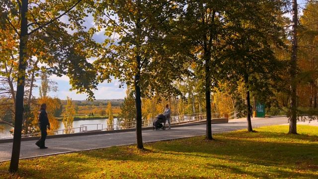 Золотая осень в Сибири смотреть онлайн