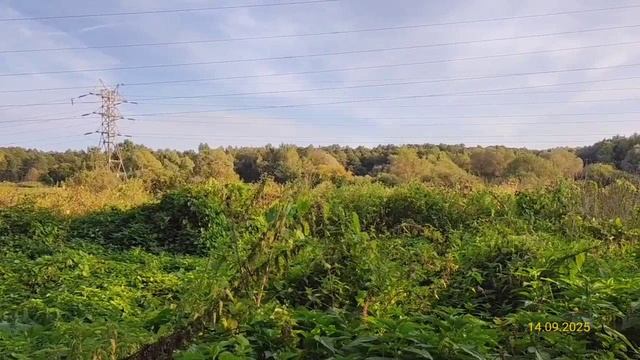 Измайловский парк 14.09.2025