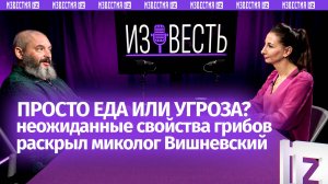 Космос, рак, еда и угроза человечеству: миколог Вишневский – о свойствах грибов / Подкаст «Известь»