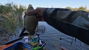 Рыбалка на карася, хороший клёв рыбы осенью 2025