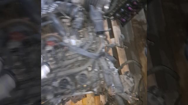 1000302138.mp4 z51 vq25 смотреть онлайн